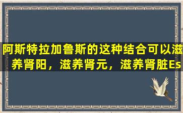 阿斯特拉加鲁斯的这种结合可以滋养肾阳，滋养肾元，滋养肾脏Essence和Transform  hidney  Qi